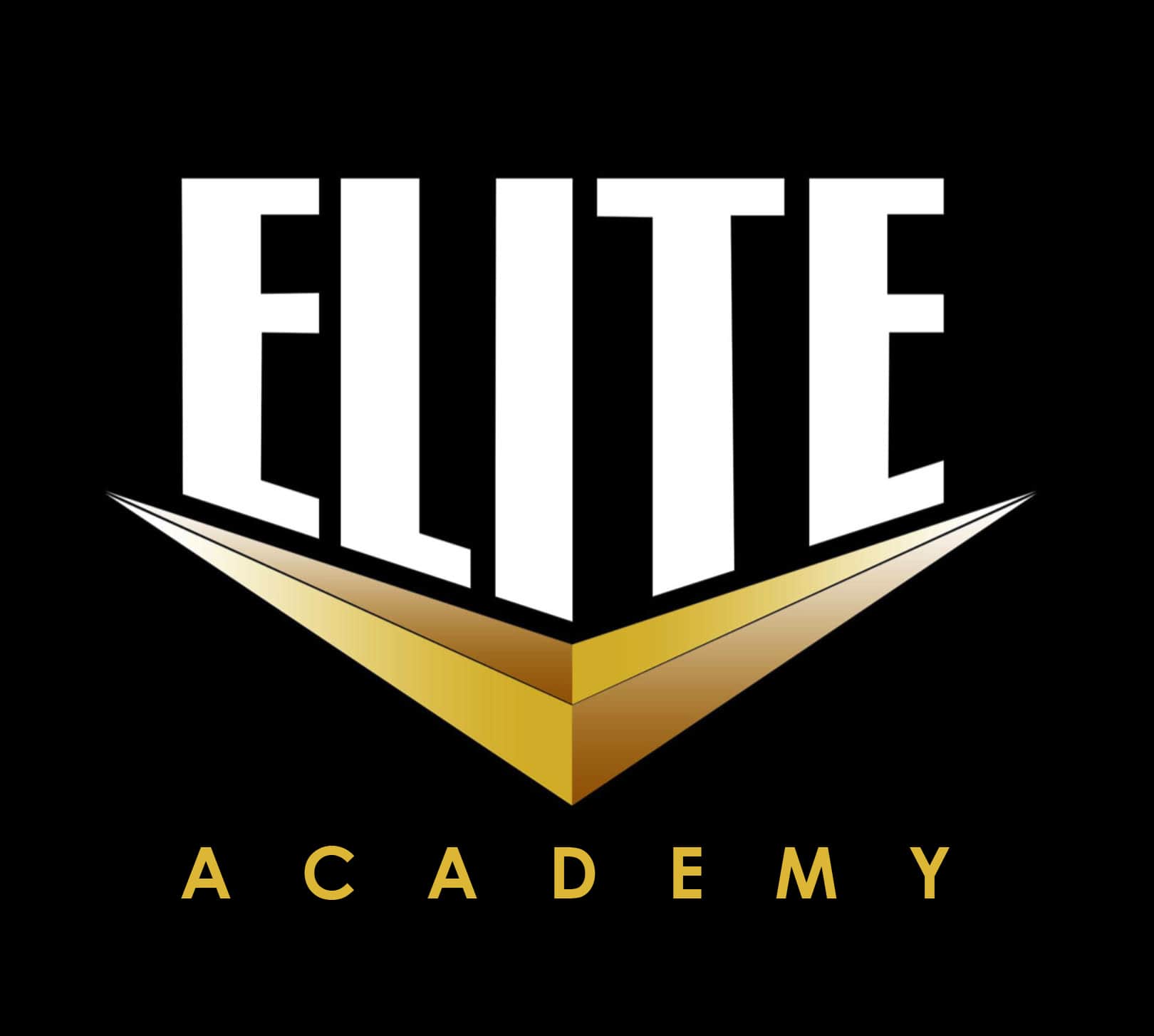 Elite Academy-min